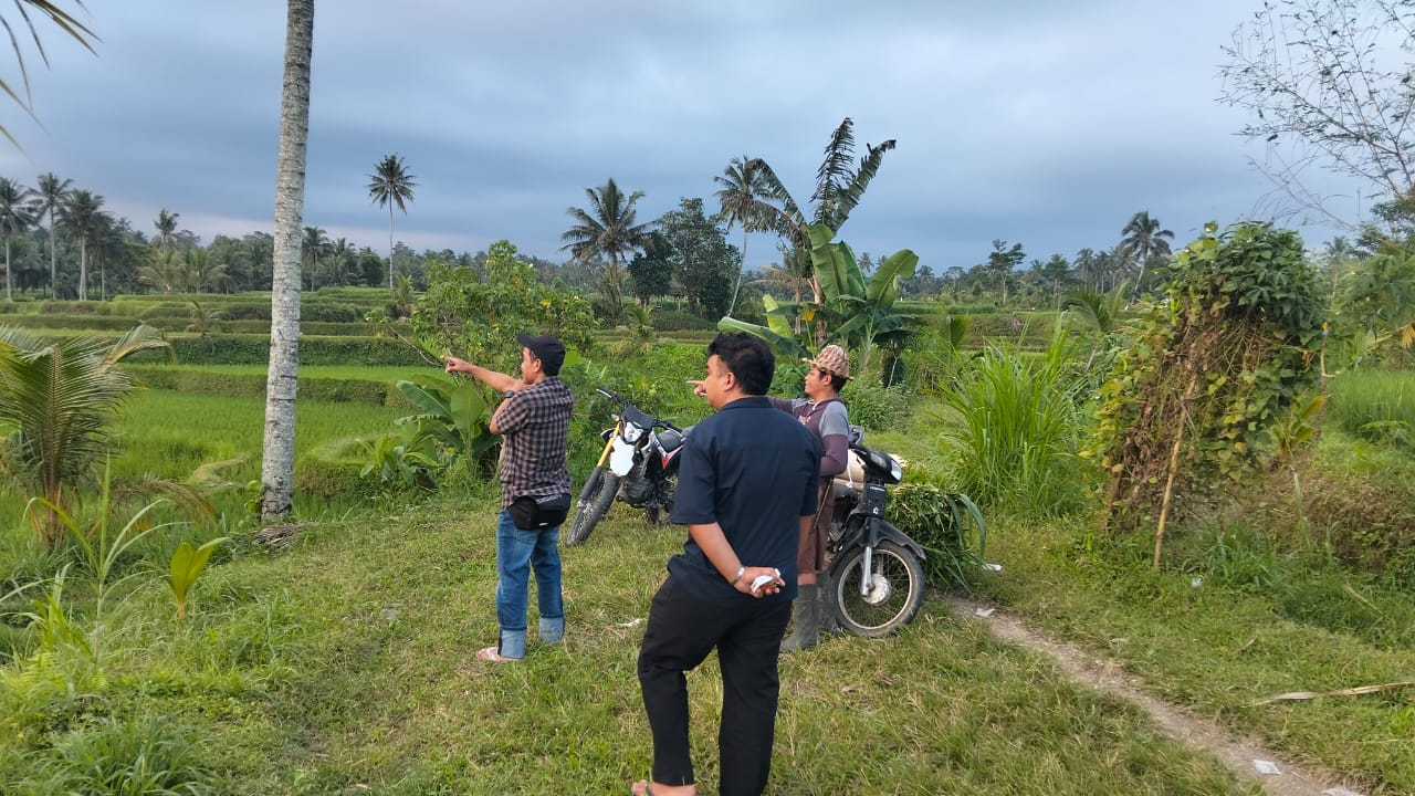 Pembuatan Skema Jaringan P3A